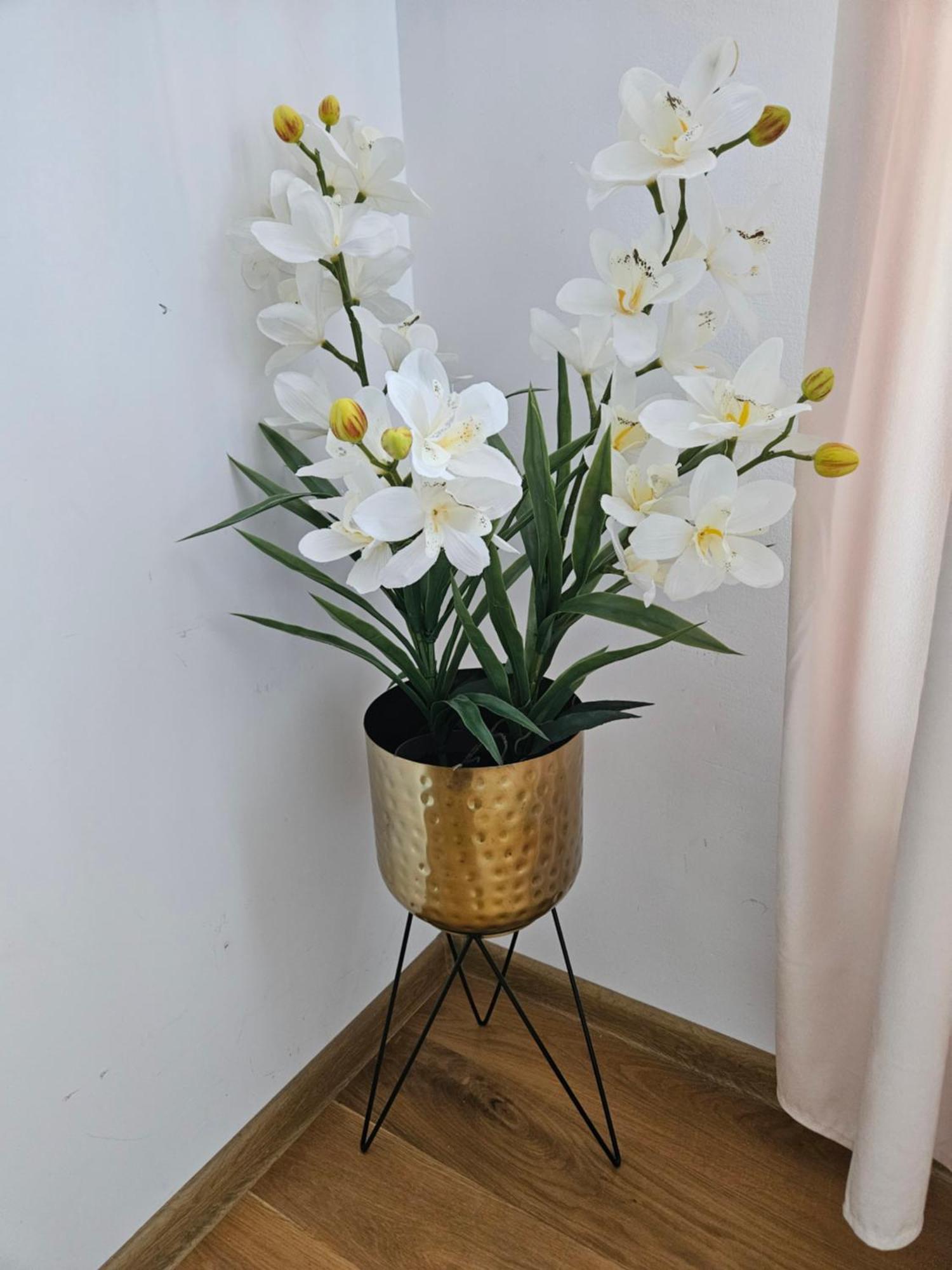 Apartment Biala Perla Danzig